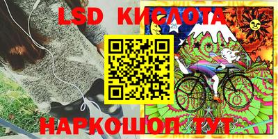 индика Беслан
