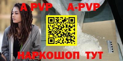 индика Беслан