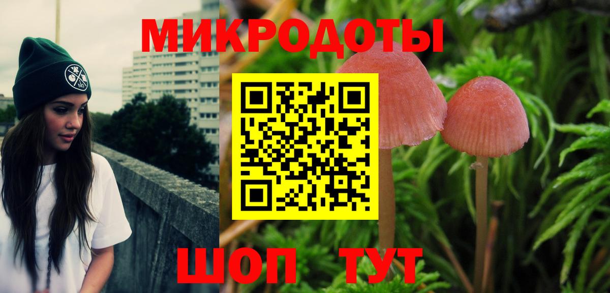 Галлюциногенные грибы Cubensis Зеленокумск