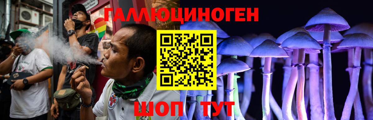 Галлюциногенные грибы GOLDEN TEACHER  Галлюциногенные грибы GOLDEN TEACHER  Вход с VPN  закладка  Зеленокумск 